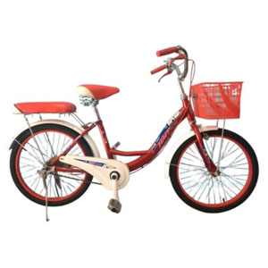 Xe đạp phổ thông cho bé 20 inch HMT 20G12