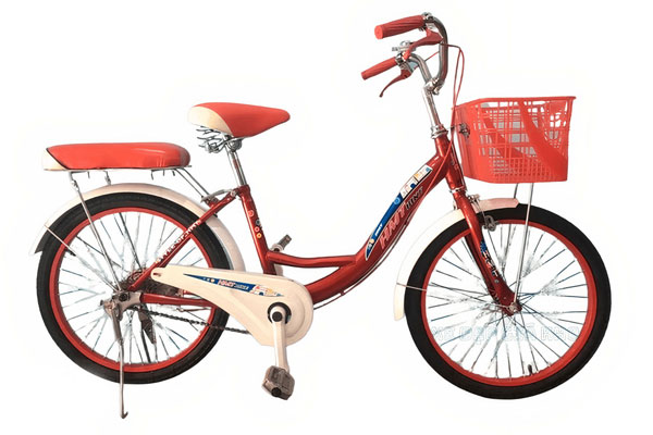 Xe đạp phổ thông cho bé 20 inch HMT 20G12 