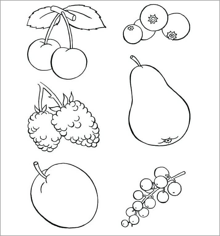 Trái Cây Tô Màu Hình minh họa Sẵn có  Tải xuống Hình ảnh Ngay bây giờ   Quả  Món ăn Trang sách tô màu Cảnh cận  iStock
