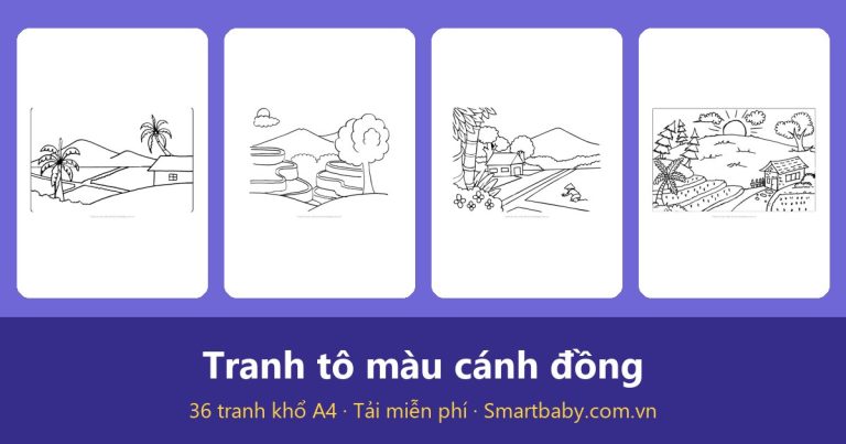 Tranh tô màu cánh đồng: 36 mẫu đồng lúa, trâu và nông thôn