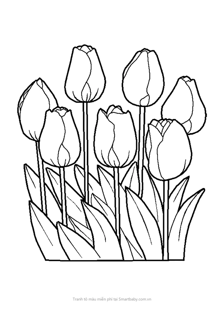 Tranh tô màu cho bé 4 tuổi – vườn tulip nở rộ