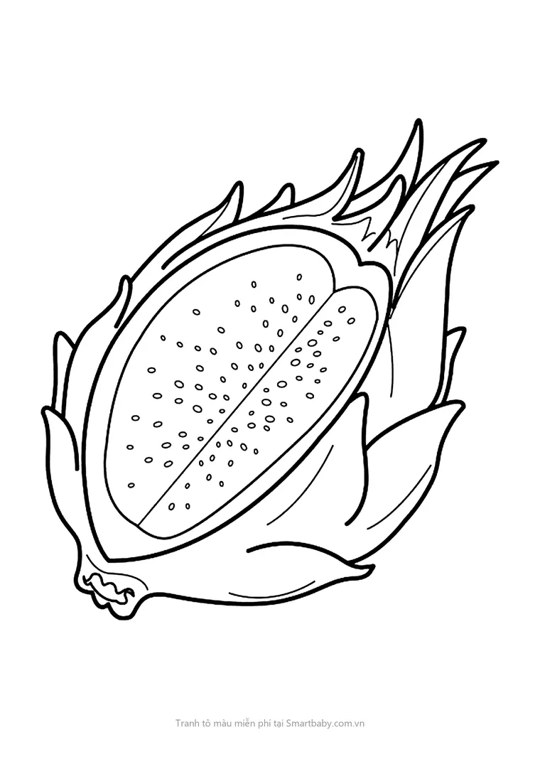 Tranh tô màu cho bé – thanh long bổ đôi