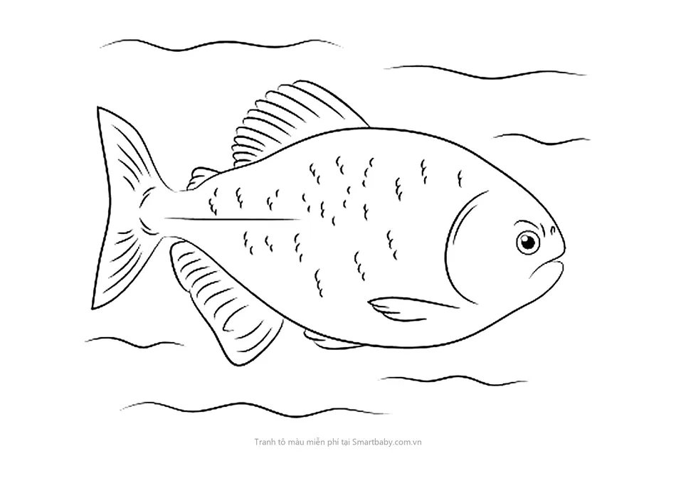 Tranh tô màu con cá – cá piranha giữa dòng nước