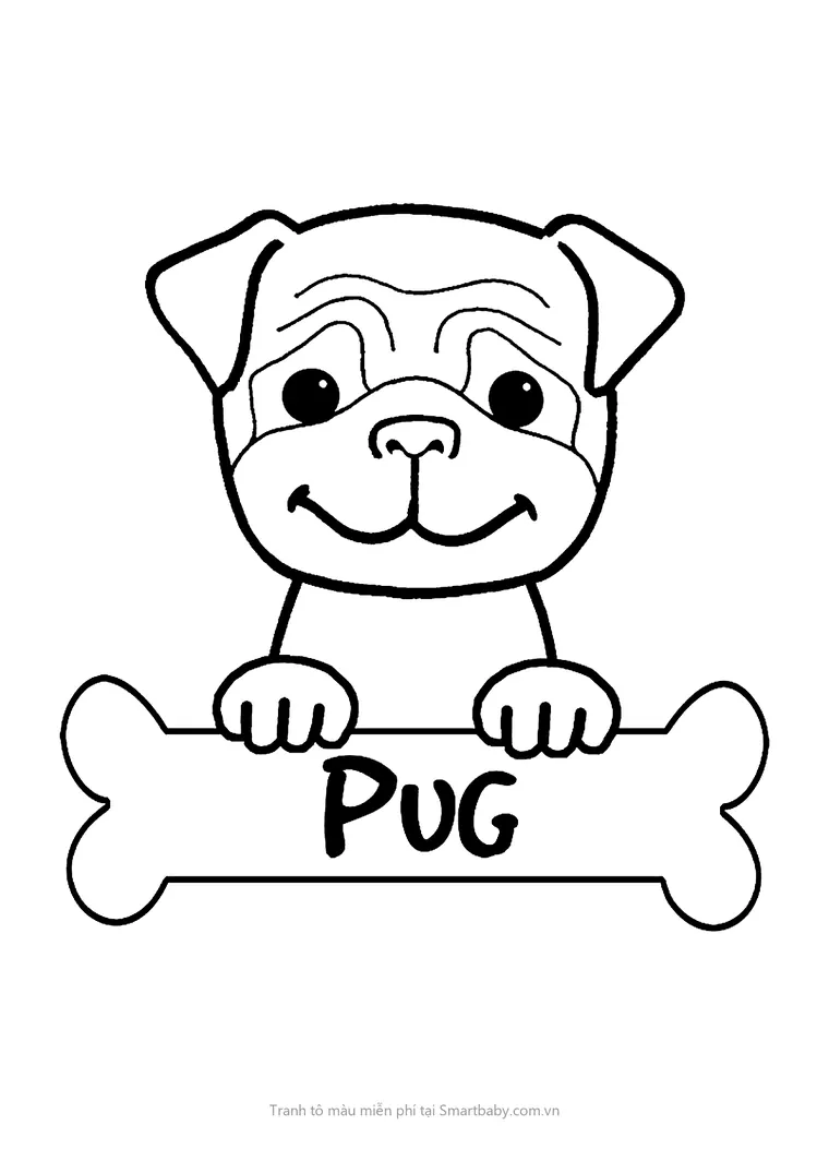 Tranh tô màu con chó – chó pug ôm khúc xương chữ Pug