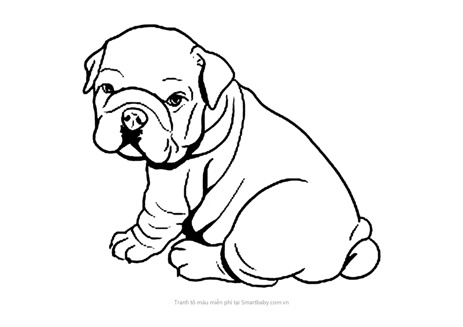 Tranh tô màu con chó – chó bulldog con ngồi nghiêng