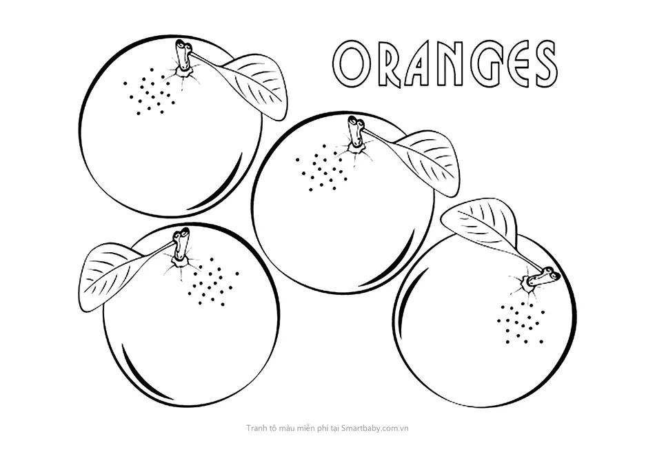 Tranh tô màu quả cam – bốn quả cam và chữ Oranges