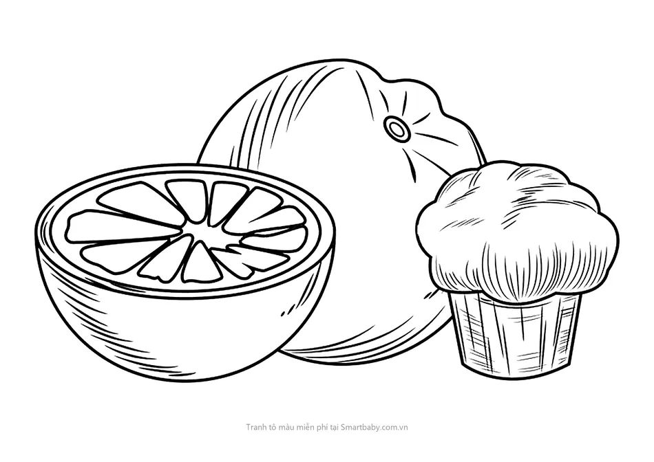 Tranh tô màu quả cam – cam bổ đôi và bánh muffin